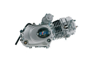 Rato 130CC (RW154FMI-3)