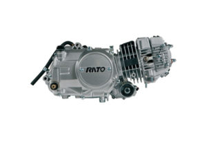 Rato 125CC (RW152FMI-2)